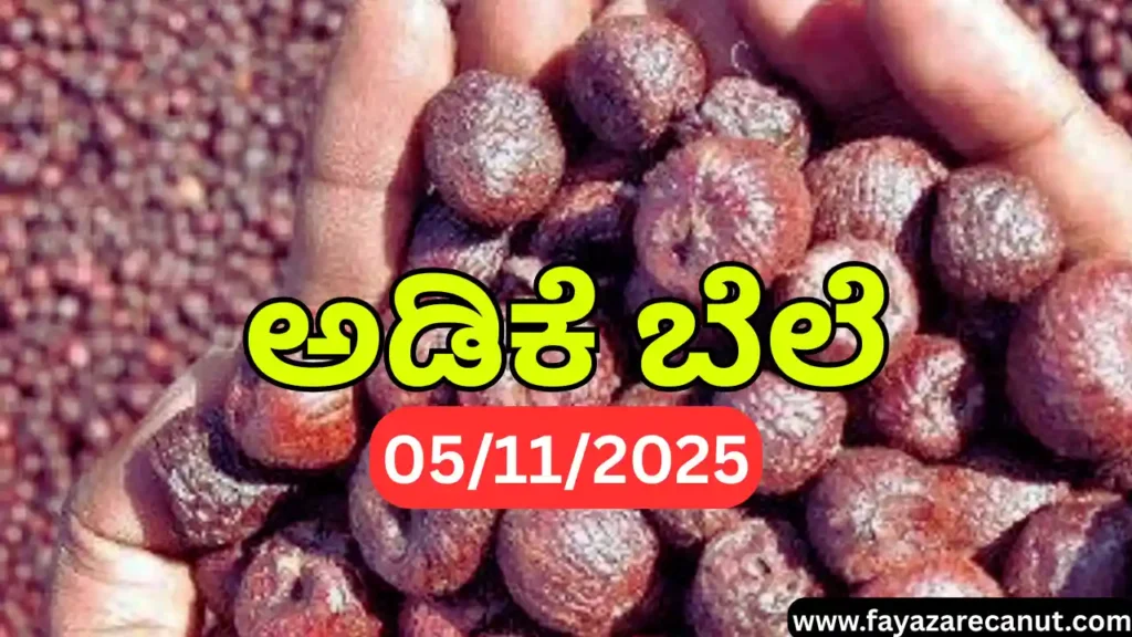 Arecanut Market Price Today 5 November 2025