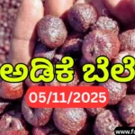 Arecanut Market Price Today 5 November 2025 | ಇಂದಿನ ಶಿವಮೊಗ್ಗ ಮತ್ತು ಚನ್ನಗಿರಿ ಅಡಿಕೆ ಮಾರುಕಟ್ಟೆ ದರ Arecanut Market Price Today 5 November 2025