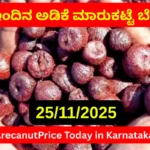 Karnataka Arecanut Market Today Price Update