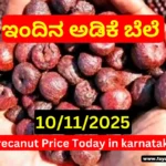 Shivamogga Channagiri Arecanut Market Price Today 10 November 2025 | ತಿಪಟೂರು ಕೊಬ್ಬರಿ ಟೆಂಡರ್ ದರ Shivamogga Channagiri Arecanut Market Price Today