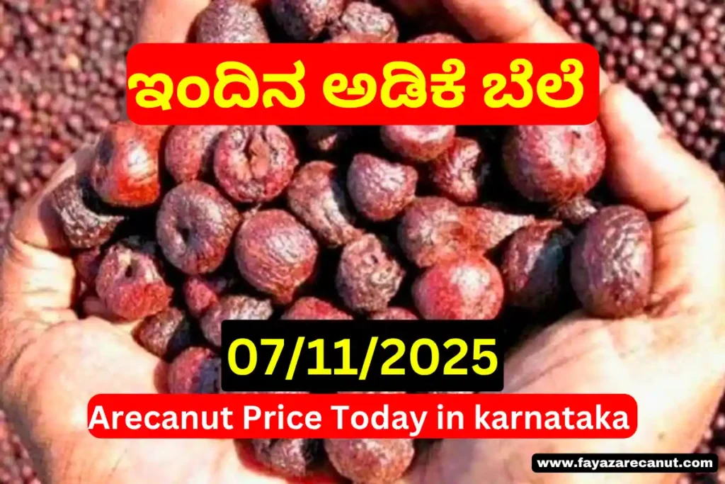 Shivamogga Channagiri Davanagere Arecanut Market P