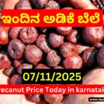 Shivamogga Channagiri Davanagere Arecanut Market P