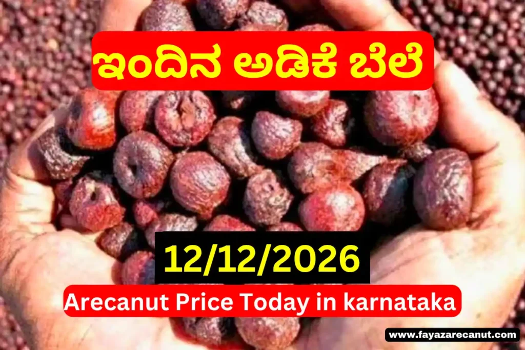 Arecanut Price Today 12 December 2025 | Karnataka Adike Market Update 1 Arecanut Price Today 12 December 2025