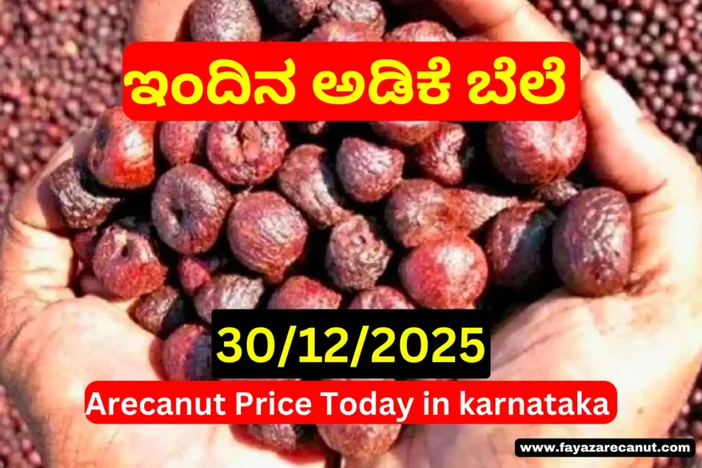 Karnataka Arecanut & Copra Market News Today – 30 December 2025 | ಇಂದಿನ ಮಾರುಕಟ್ಟೆ ಚಲನೆ 2 Karnataka Arecanut Copra Market News Today – 30