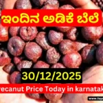 Karnataka Arecanut & Copra Market News Today – 30