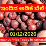 Karnataka Arecanut & Copra Market Update Today 1 December 2025 | ಇಂದಿನ ಅಡಿಕೆ–ಕೊಬ್ಬರಿ ದರ Karnataka Arecanut & Copra Market Update Today 1 D