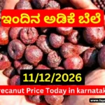 Karnataka Arecanut & Copra Market Update Today 11 December 2025 | ಇಂದಿನ ಅಡಿಕೆ–ಕೊಬ್ಬರಿ ದರ ಮಾಹಿತಿ Karnataka Arecanut & Copra Market Update Today 11