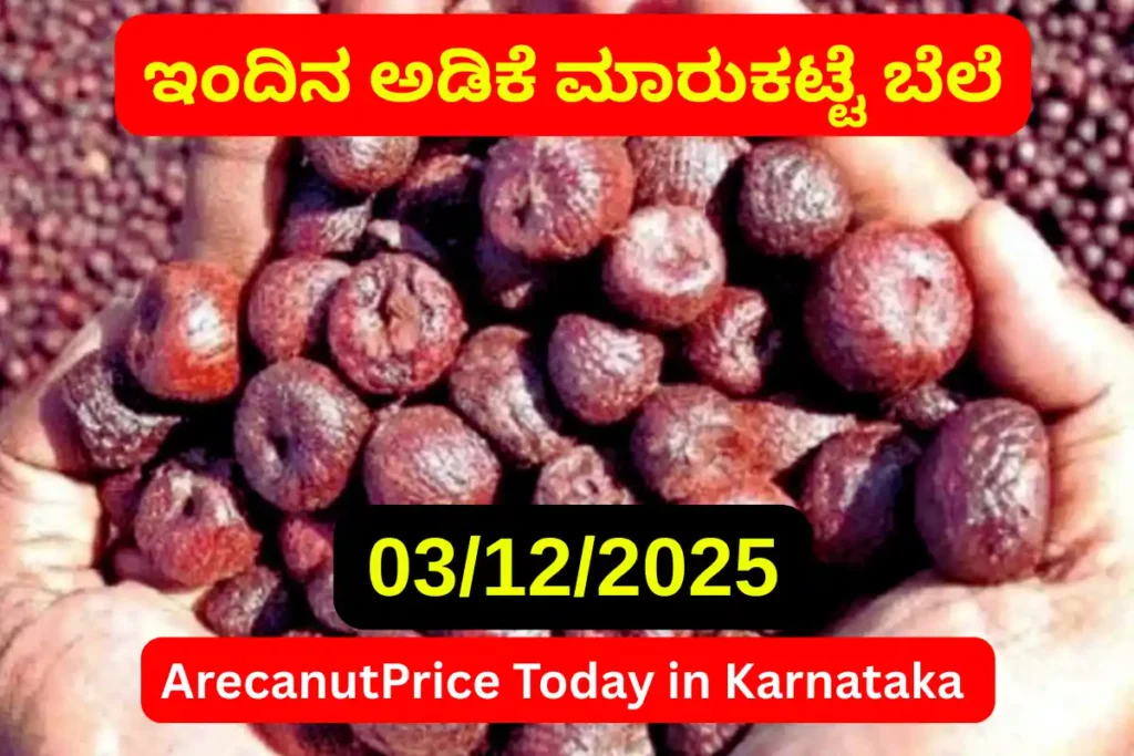 Karnataka Arecanut Market Price Update Today 03 December 2025 | ಇಂದಿನ ಅಡಿಕೆ ದರ ಮಾಹಿತಿ 9 Karnataka Arecanut Market Price Update Today 03 De