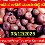 Karnataka Arecanut Market Price Update Today 03 December 2025 | ಇಂದಿನ ಅಡಿಕೆ ದರ ಮಾಹಿತಿ Karnataka Arecanut Market Price Update Today 03 De