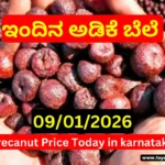 Arecanut Price Today – 09 January 2026 | Shivamogga, Channagiri & Davanagere Markets Arecanut Price Today – 09 January 2026