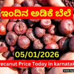 Karnataka Arecanut Market News Today – 05 January 2026 Karnataka Arecanut Market News Today