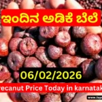 Arecanut Market Price Today 06