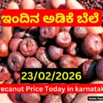 Arecanut Market Price Today 23 February 2026