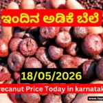 Arecanut Price Today 18 May 2026_