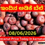 Arecanut Price Today 08 June 2026 Shivamogga Channagiri Adike & Tiptur Copra Rates Today Arecanut Price Today 08 June 2026_