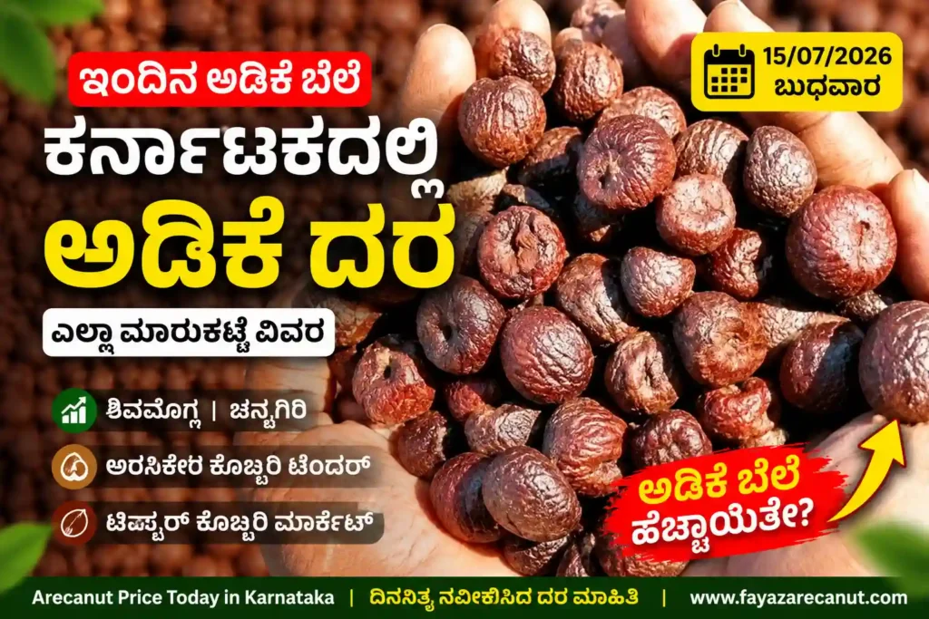 Arecanut Price Today 15 July 2026 | Shivamogga & Channagiri Adike Market | ಇಂದಿನ ಅಡಿಕೆ ಬೆಲೆ 1 Arecanut Price Today 15 July 2026