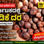 Arecanut Price Today 15 July 2026 | Shivamogga & Channagiri Adike Market | ಇಂದಿನ ಅಡಿಕೆ ಬೆಲೆ Arecanut Price Today 15 July 2026