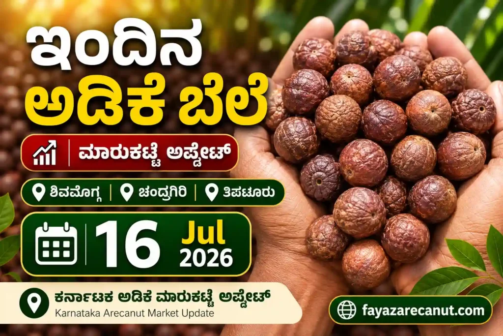 Arecanut Price Today 16 July 2026