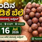 Arecanut Price Today 16 July 2026