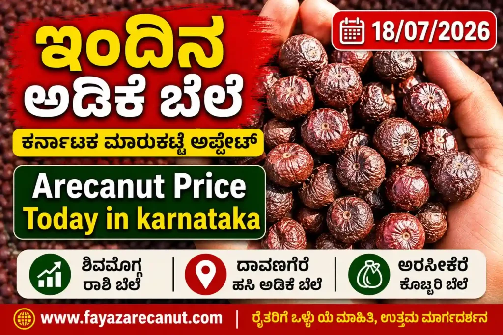 Arecanut Price Today 18 July 2026 | Thirthahalli, Sagar, Koppa, Sringeri & Malnad Market Update | ಇಂದಿನ ಅಡಿಕೆ ಬೆಲೆ 1 Arecanut Price Today 18 July 2026