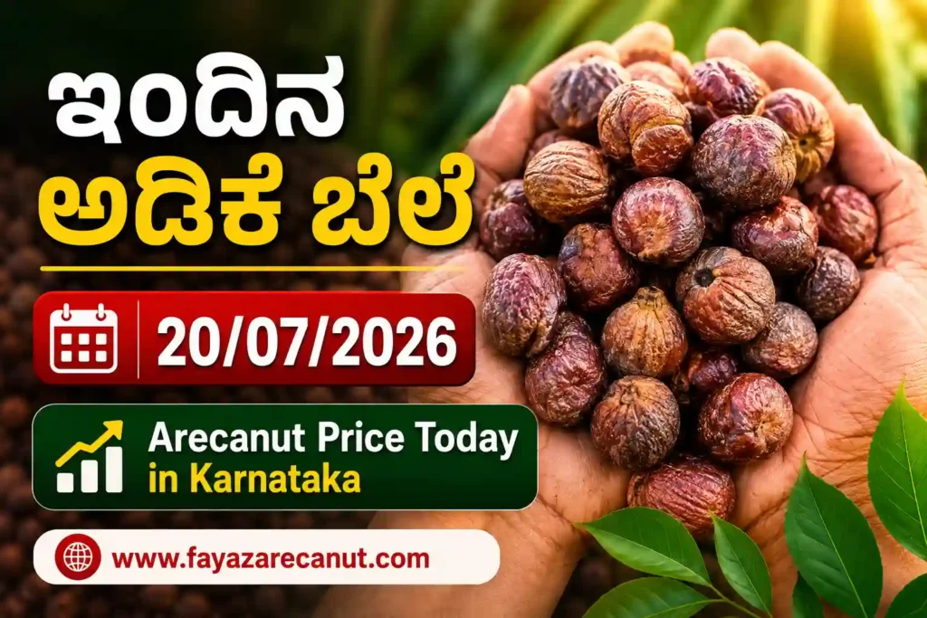 Arecanut Price Today 20 July 2026 | Shivamogga Adike, Channagiri & Tiptur Copra Market Update | ಇಂದಿನ ಅಡಿಕೆ ಬೆಲೆ 1 Arecanut Price Today 20 July 2026