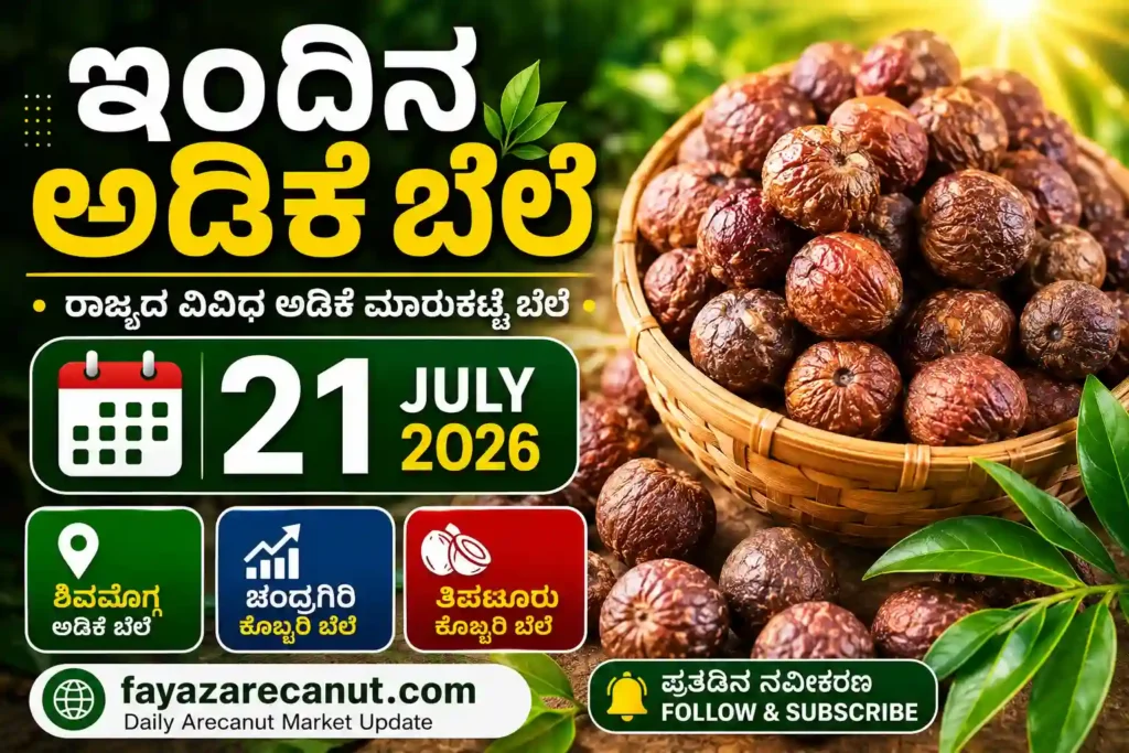 Arecanut Price Today 21 July 2026 | Shivamogga, Davangere Hasi Adike & Arsikere Copra Market Update | ಇಂದಿನ ಅಡಿಕೆ ಬೆಲೆ 1 Arecanut Price Today 21 July 2026