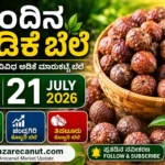 Arecanut Price Today 21 July 2026