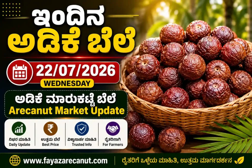 Arecanut Price Today 22 July 2026