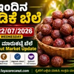 Arecanut Price Today 22 July 2026