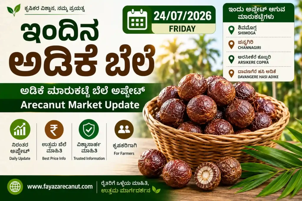 Arecanut Price Today 24 July 2026 | Shivamogga, Channagiri, Davangere Hasi Adike & Arsikere Copra Market Update | ಇಂದಿನ ಅಡಿಕೆ ಬೆಲೆ 1 Arecanut Price Today 24 July 2026
