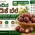 Arecanut Price Today 24 July 2026