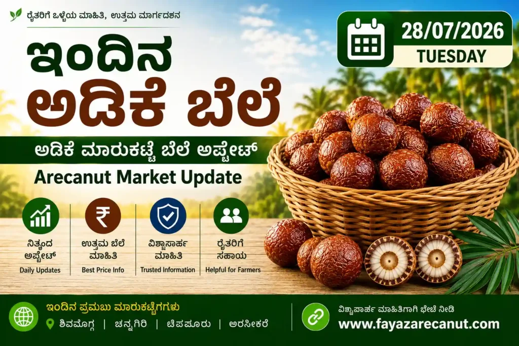 Arecanut Price Today 28 July 2026