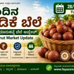 Arecanut Price Today 28 July 2026