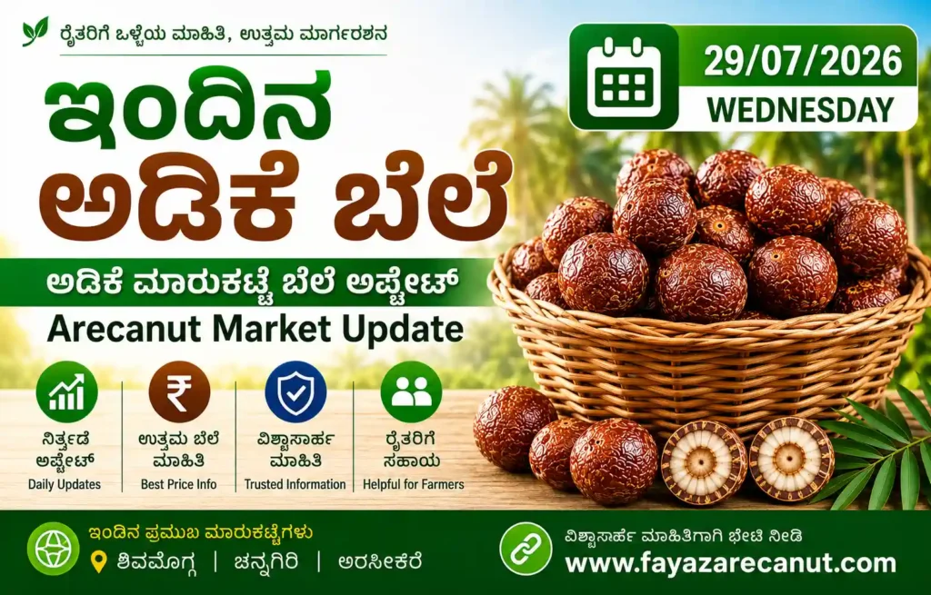 Arecanut Price Today 29 July 2026 | Shivamogga & Channagiri Market Update Karnataka 1 Arecanut Price Today 29 July 2026