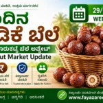 Arecanut Price Today 29 July 2026