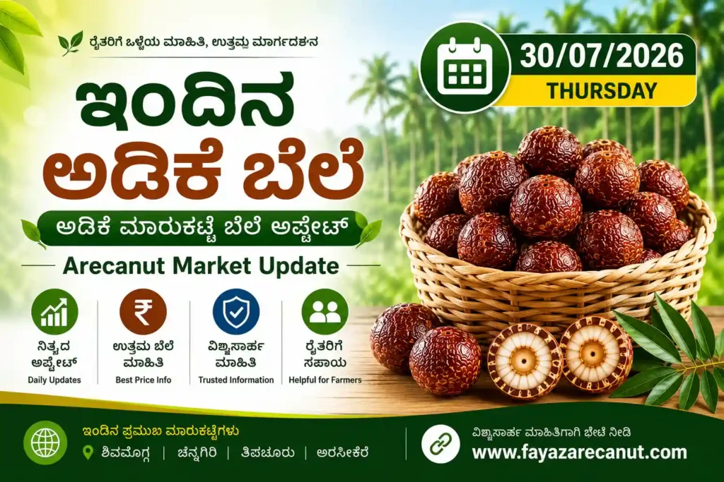 Arecanut Price Today 30 July 2026 | Shivamogga Adike & Tiptur Copra Tender Market Update 1 Arecanut Price Today 30 July 2026