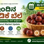 Arecanut Price Today 30 July 2026
