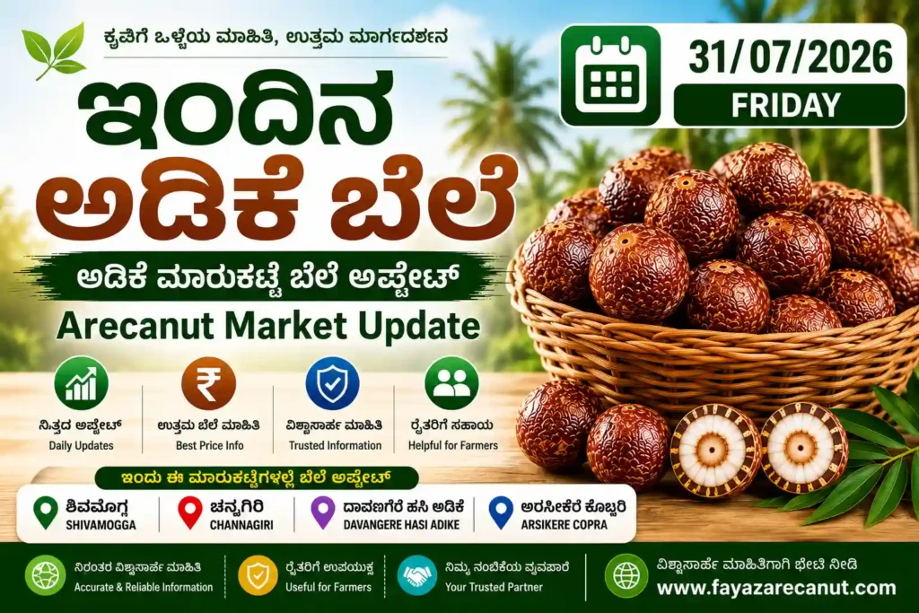 Arecanut Price Today 31 July 2026 | Shivamogga, Channagiri, Davangere & Arsikere Market Update 1 Arecanut Price Today 31 July 2026