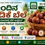 Arecanut Price Today 31 July 2026