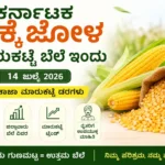 Karnataka Maize Market Price Today | 14 July 2026 Latest District Wise Rates Karnataka Maize Market Price Today