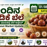 Arecanut Price Today 01 August 2026