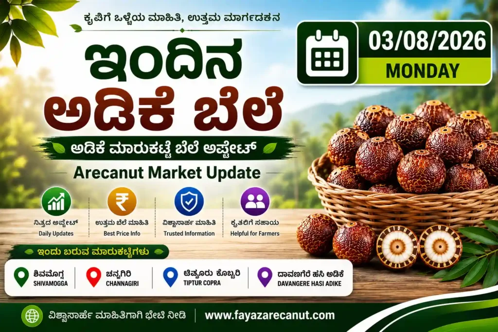 Arecanut Price Today 03 August 2026