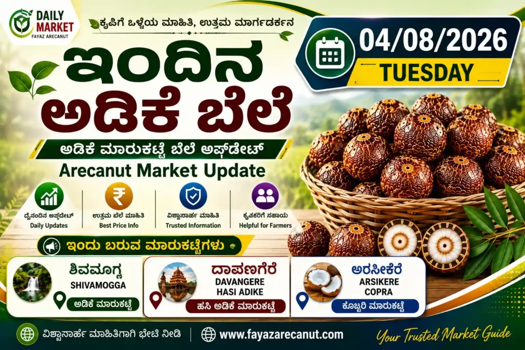 Arecanut Price Today 04 August 2026 | Shivamogga, Davangere Hasi Adike & Arsikere Copra Market Update 1 Arecanut Price Today 04 August 2026