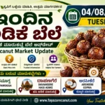 Arecanut Price Today 04 August 2026