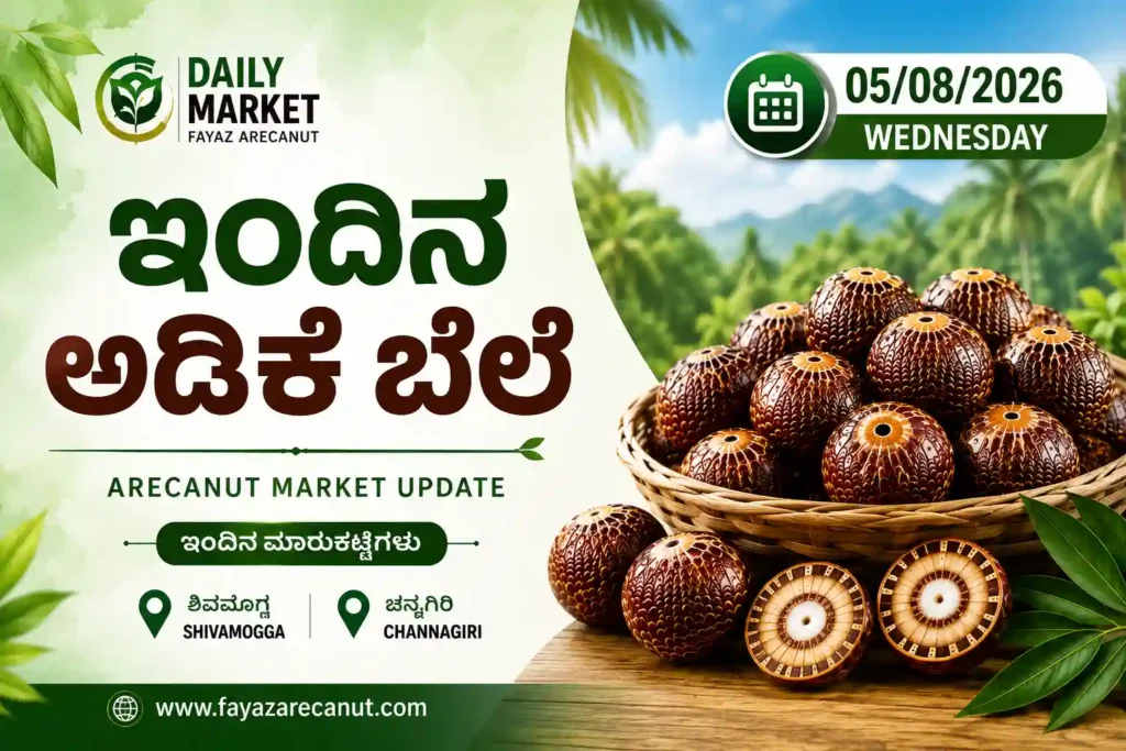 Arecanut Price Today 05 August 2026 | Shivamogga & Channagiri Market Update Karnataka 1 Arecanut Price Today 05 August 2026 Karnataka Arecanut Market Prices