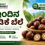 Arecanut Price Today 05 August 2026 | Shivamogga & Channagiri Market Update Karnataka Arecanut Price Today 05 August 2026 Karnataka Arecanut Market Prices