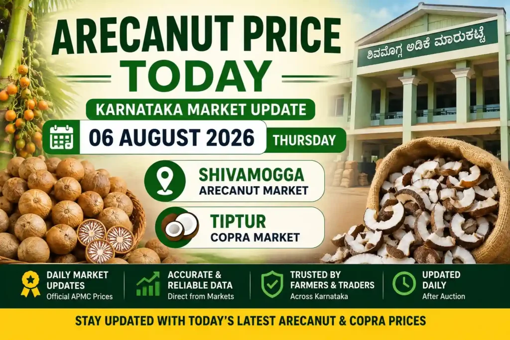 Arecanut Price Today 06 August 2026