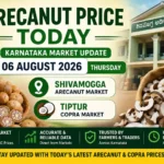 Arecanut Price Today 06 August 2026