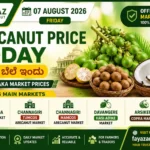 Arecanut Price Today 07 August 2026 Karnataka Adike Market Prices