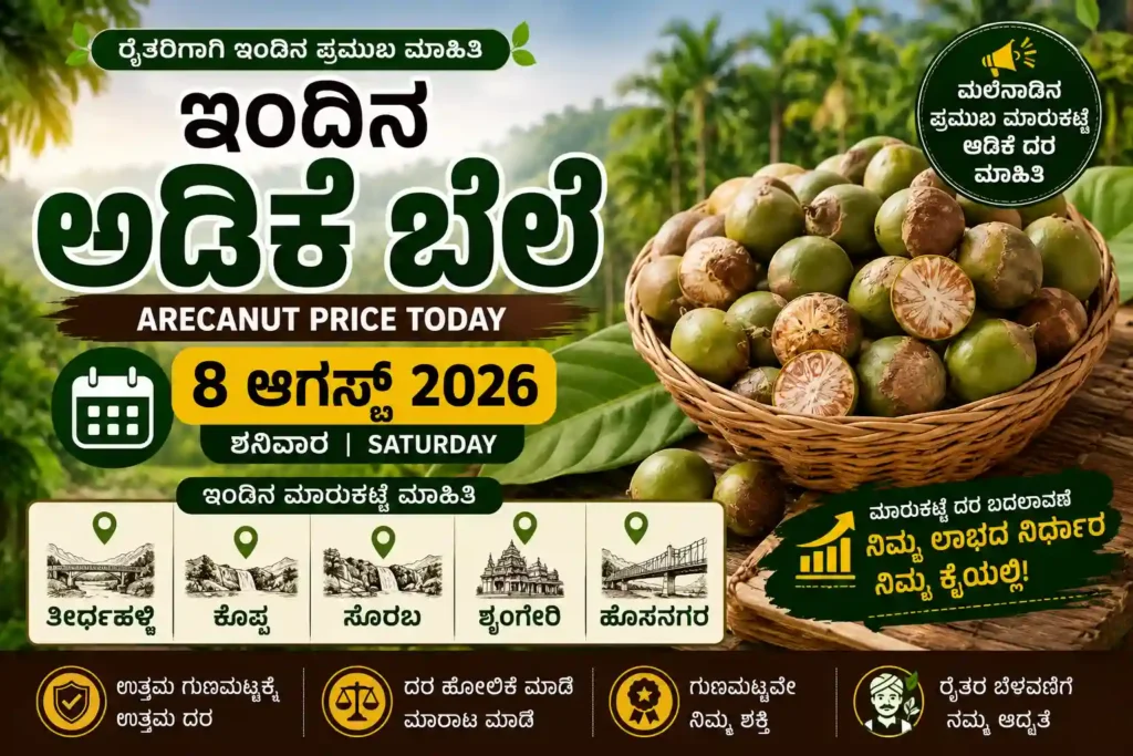 ಇಂದಿನ ಅಡಿಕೆ ಬೆಲೆ
